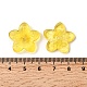 Glass Beads(GLAA-D303-12I)-3