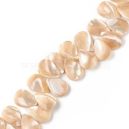 Natural Trochid Shell/Trochus Shell Beads, Top Drilled Beads, Teardrop, 18.5x13x3mm, Hole: 0.8mm(SSHEL-T012-17)