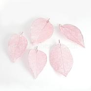 Electroplated Natural Leaf Big Pendants, with Iron Findings, Rose Gold Plated, 55~85x25~40x1mm, Hole: 3x6mm(IFIN-Q119-02I)