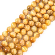 Natural Yellow Tiger Eye Beads Strands, Round, 8mm(G-G212-8mm-18)