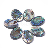 Natural Abalone Shell/Paua Shell Beads, Oval, 18x13x3.5mm, Hole: 1mm(X-SSHEL-T008-14)