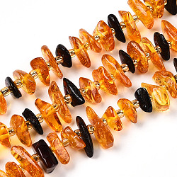 Natural Amber Beads Strands, Chip, with Seed Beads, Orange, 2~4.5x8~17x7~9.5mm, Hole: 0.7mm, about 72~75pcs/strand, 15.43~15.88''(39.2~39.7cm), bead: 3mm in diameter, 2mm thick(G-T138-237)