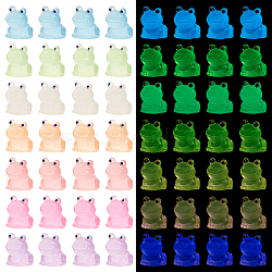 56Pcs 7 Colors Luminous Resin Display Decoration, Glow in the Dark Ornaments, Frog, Mixed Color, 18x14x14.5mm, 8pcs/color(DJEW-OC0001-40)