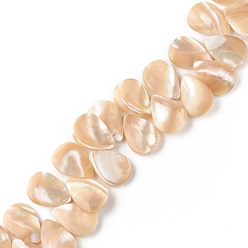 Natural Trochid Shell/Trochus Shell Beads, Top Drilled Beads, Teardrop, 18.5x13x3mm, Hole: 0.8mm
