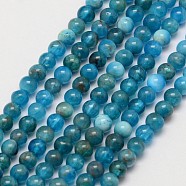 Natural Apatite Beads Strands, Round, 4~4.6mm, Hole: 1mm, about 93pcs/strand, 6.10''(15.5cm)(G-D856-01-4mm)