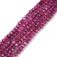 Lab Grown Red Corundum Beads Strands, Faceted, Cube, 2.5x2.5x2.5mm, Hole: 0.5mm, about 186~188pcs/strand, 15.16~15.35 inch(38.5~39cm)(G-C009-B13-1)