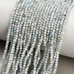 Natural Larimar Beads Strands, Faceted, Round, 3mm, Hole: 0.5mm, about 188~189pcs/strand, 15.35~15.55''(39~39.5cm)(GG-CBA767B-A03)