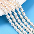Natural Cultured Freshwater Pearl Beads Strands, Rice, Creamy White, 6~8x5~5.5mm, Hole: 0.5mm, about 51pcs/strand, 14.57~14.76''(37~37.5cm)(PEAR-N012-05N)
