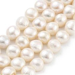 Natural Cultured Freshwater Pearl Beads Strands, Two Sides Polished, PapayaWhip, 11~13mm, Hole: 0.6mm, about 15pcs/strand, 6.30~6.69 inch(16~17cm)(PEAR-P062-35)