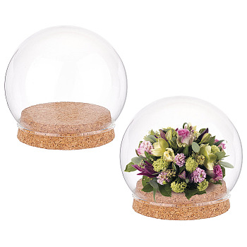 2 Sets High Borosilicate Glass Dome Cover, Decorative Display Case, Round Cloche Bell Jar Terrarium with Cork Base, Clear, 100mm