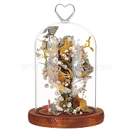 Heart Glass Dome Cover, Decorative Display Case, Cloche Bell Jar Terrarium with Wood Base, Brown, 196mm(AJEW-WH0505-28A)