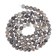 5 Strands Natural Labradorite Beads Strands, Round, 4mm, Hole: 0.8mm, about 91pcs/strand, 15.5 inch(G-NB0004-55)