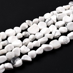 Natural Howlite Beads Strands, Nuggets, Tumbled Stone, 5~8.5x5.5~7x3.5~4mm, Hole: 0.7mm, about 64pcs/strand, 16.34 inch(41.5cm)(G-G018-49)