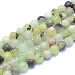 Natural Jade Beads Strands, Round, 8~8.5mm, Hole: 0.8mm, about 50pcs/strand, 15.55 inch(39.5cm)(G-L552H-13B)