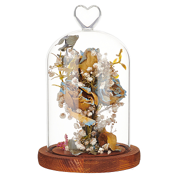 Heart Glass Dome Cover, Decorative Display Case, Cloche Bell Jar Terrarium with Wood Base, Brown, 196mm