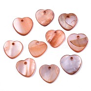 Natural Freshwater Shell Charms, Dyed, Heart, Chocolate, 12.5x13x2mm, Hole: 1.5mm(X-SHEL-R113-17H)
