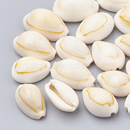 Natural Cowrie Shell Beads, Seashell Color, 18~23x11~15x8~12mm(X-SSHEL-T004-07)