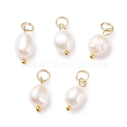 Grade B Natural Cultured Freshwater Pearl Charms, with 304 Stainless Steel Jump Rings, Polished Rice, Golden, 13.5~15x7~7.5x5~6mm, Hole: 3.6mm(X-PALLOY-JF01497-01)