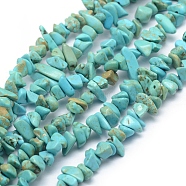 Natural Magnesite Beads Strands, Dyed & Heated, Chip, Turquoise, 3~5mm, Hole: 0.6mm, about 33 inch(84cm)(G-P332-59A)
