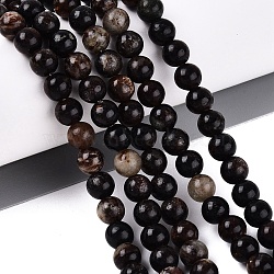 Natural Biotite Beads Strands, Smooth Round, 6mm, Hole: 0.6~0.8mm, about 63~64pcs/strand, 14.76~15.16 inch(37.5~38.5cm)(G-Q616-01B)