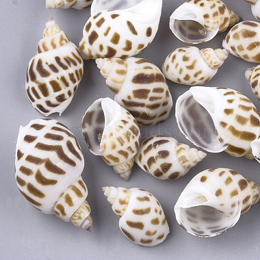 22mm Camel Others Spiral Shell Beads