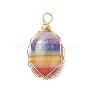 Chakra Natural Mixed Gemstone Copper Wire Wrapped Pendants, Oval Charms, Light Gold, 26x14.5x6mm, Hole: 2.5~3mm(PALLOY-JF02045-01)