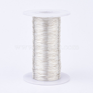 Eco-Friendly Round Copper Wire, Copper Beading Wire for Jewelry Making, Long-Lasting Plated, Silver, 24 Gauge, 0.5mm, about 1082.68 Feet(330m)/500g(CWIR-K001-01-0.5mm-S)