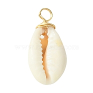 Natural Cowrie Shell Dyed Pendants, with Brass Wire Loops, Shell Shape Charms, Golden, 22x11x8mm, Hole: 2.8mm(PALLOY-JF02274)