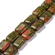 Natural Unakite Beads Strands, Rectangle, 18x13.5x5.5mm, Hole: 1.2mm, about 22pcs/strand, 15.75 inch(40cm)(G-T047-B27-01)