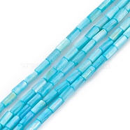 Natural Freshwater Shell Dyed Beads Strands, Column, Deep Sky Blue, 8x4mm, Hole: 0.8mm, about 46pcs/strand, 14.96''(38cm)(SHEL-M018-11-04)