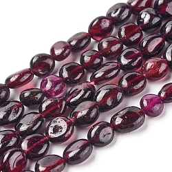 Natural Garnet Beads Strands, Nuggets, 5.5~10.5x5.5~7x2.5~6.5mm, Hole: 0.8mm, about 54pcs/strand, 15.94 inch(40.5cm)(G-L478-52)