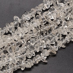 Natural Quartz Crystal Chips Beads Strands, Rock Crystal Beads, 8~14x4~8x3~6mm, Hole: 1mm, about 15~16 inch(X-G-P030-01)