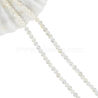 Shell normal de perles blanches de brins(SHEL-WH0001-007)-2