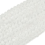Handmade Millefiori Glass Flat Round Bead Strands, Single Flower Design, White, 6x2.5mm, Hole: 1mm, about 64~68pcs/strand, 14.5~15 inch(LK-P010-05)