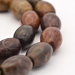 Oval Natural Picasso Stone/Picasso Jasper Beads Strands, 14x10mm, Hole: 1mm, about 29pcs/strand, 15.5 inch(X-G-M137-01)