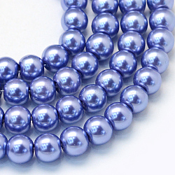 Baking Paint Pearlized Glass Pearl Round Bead Strands, Slate Blue, 6~7mm, Hole: 1mm, about 145pcs/strand, 31.4 inch(X-HY-Q003-6mm-09)