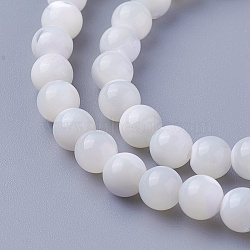 Shell Beads Strands, Round, 6~6.2mm, Hole: 1mm, about 65pcs/strand, 15 inch(38cm)(X-SSHEL-E571-39-6mm)