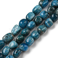 Natural Apatite Beads Strands, Nuggets Tumbled Stone, 10~14x9~10x8~9mm, Hole: 1mm, about 35~36pcs/strand, 15.63''~15.79'' (39.7~40.1cm)(G-C038-02A-03)