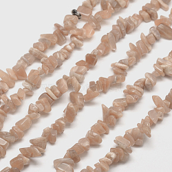 Natural Sunstone Chip Bead Strands, 5~8x5~8mm, Hole: 1mm, about 31.5 inch(G-M205-15)