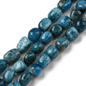 Natural Apatite Beads Strands, Nuggets Tumbled Stone, 10~14x9~10x8~9mm, Hole: 1mm, about 35~36pcs/strand, 15.63''~15.79'' (39.7~40.1cm)