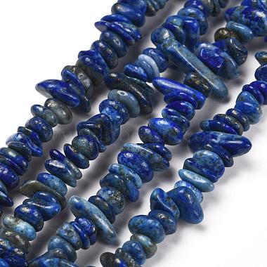 Natural Lapis Lazuli Chip Bead Strands(G-M205-14)-3