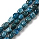 Natural Apatite Beads Strands(G-C038-02A-03)-1