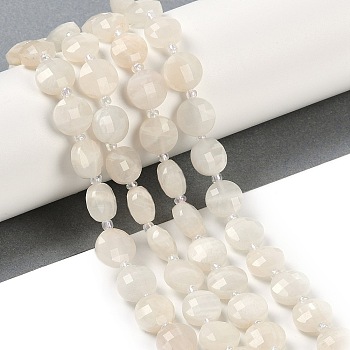 Natural White Moonstone Beads Strands, Faceted, Flat Round, with Seed Beads, 9.5~10x5~6mm, Hole: 1mm, about 32~34pcs/strand, 15.75~14.96''(38~40cm)