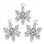Tibetan Style Alloy Pendants, Lead Free & Cadmium Free, Snowflake, Antique Silver, 23x17.5x2.5mm, Hole: 1.8mm, about 400pcs/500g(TIBE-N010-29AS-RS)