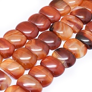 Natural Red Agate Beads Strands, Dyed & Heated, Oval, Orange Red, 20~24x34x8~10mm, Hole: 2~2.5mm, about 16pcs/strand, 13.7 inch~14.5 inch(35~37cm)(G-I245-31B)