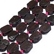 Natural Garnet Beads Strands, Rectangle, 14~17x11~13x5~6mm, Hole: 1mm, about 21~23pcs/strand, 15.75~16.14 inch(40~41cm)(G-F725-06)