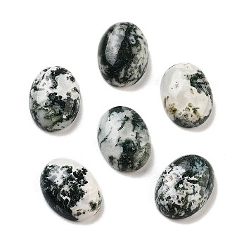 Natural Tree Agate Cabochons, Oval, 16x12x5mm