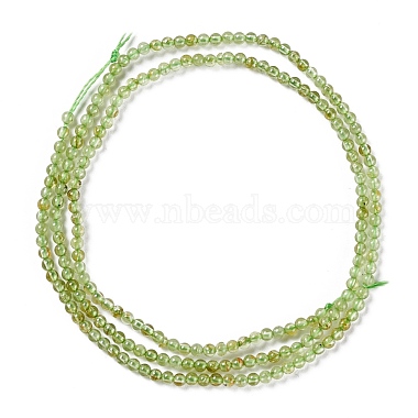 Natural Peridot Beads Strands(G-K313-B01-01)-3