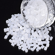 6/0 Two Cut Glass Seed Beads, Hexagon, Ceylon, Ghost White, 3.5~5x3.5~4mm, Hole: 1mm, about 4500pcs/bag(SEED-S033-07B-03)