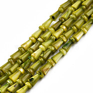Natural Freshwater Shell Beads Strands, Dyed, Mushroom, Olive Drab, 7.5x4mm, Hole: 0.9mm, about 51pcs/strand, 15.35 inch(39cm)(SHEL-N026-213-B03)